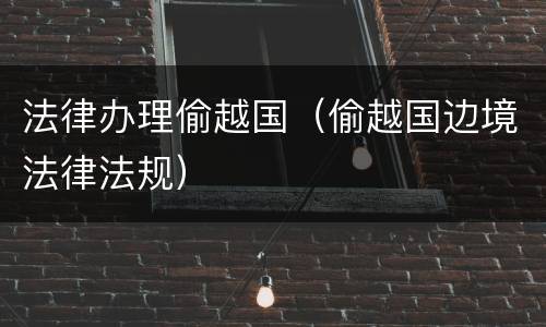 法律办理偷越国（偷越国边境法律法规）