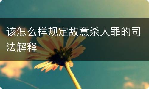 该怎么样规定故意杀人罪的司法解释