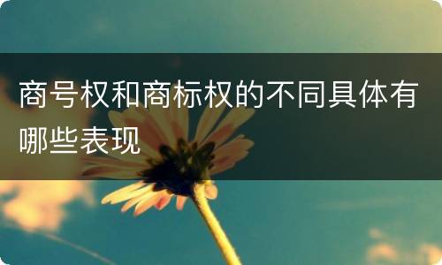 商号权和商标权的不同具体有哪些表现