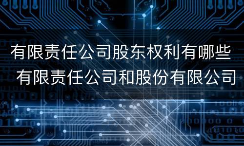 有限责任公司股东权利有哪些 有限责任公司和股份有限公司股东权利