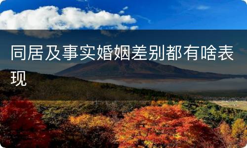 同居及事实婚姻差别都有啥表现