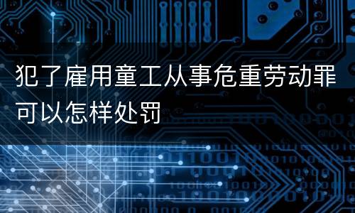 犯了雇用童工从事危重劳动罪可以怎样处罚