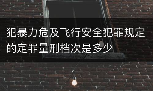 犯暴力危及飞行安全犯罪规定的定罪量刑档次是多少