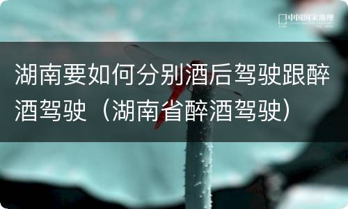 湖南要如何分别酒后驾驶跟醉酒驾驶（湖南省醉酒驾驶）