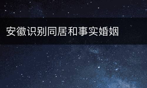 安徽识别同居和事实婚姻