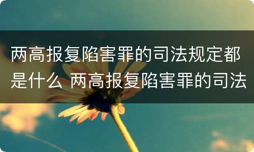 两高报复陷害罪的司法规定都是什么 两高报复陷害罪的司法规定都是什么意思