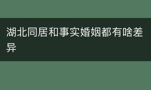 湖北同居和事实婚姻都有啥差异