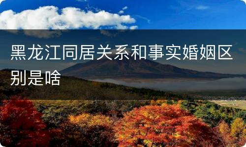 黑龙江同居关系和事实婚姻区别是啥