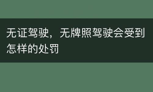 无证驾驶，无牌照驾驶会受到怎样的处罚