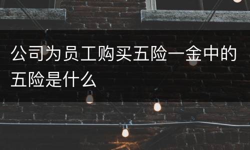 公司为员工购买五险一金中的五险是什么