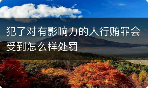 犯了对有影响力的人行贿罪会受到怎么样处罚