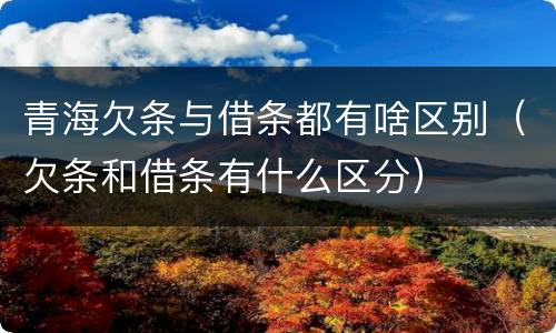 青海欠条与借条都有啥区别（欠条和借条有什么区分）