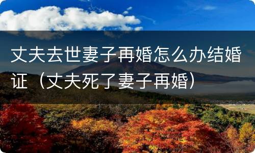 丈夫去世妻子再婚怎么办结婚证（丈夫死了妻子再婚）