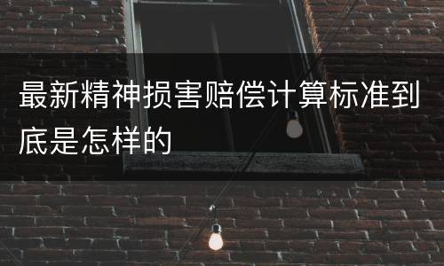 最新精神损害赔偿计算标准到底是怎样的