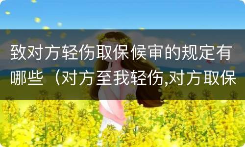 致对方轻伤取保候审的规定有哪些（对方至我轻伤,对方取保候审,我怎样保护自己的权益）