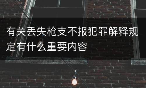 有关丢失枪支不报犯罪解释规定有什么重要内容
