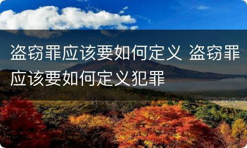盗窃罪应该要如何定义 盗窃罪应该要如何定义犯罪