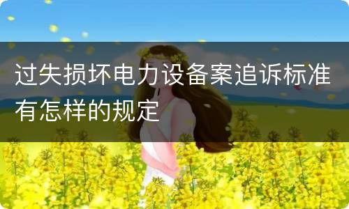 过失损坏电力设备案追诉标准有怎样的规定