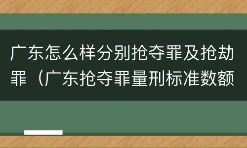 广东怎么样分别抢夺罪及抢劫罪（广东抢夺罪量刑标准数额）