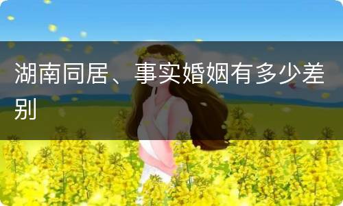 湖南同居、事实婚姻有多少差别