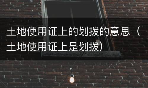 土地使用证上的划拨的意思（土地使用证上是划拨）