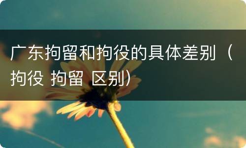 广东拘留和拘役的具体差别（拘役 拘留 区别）