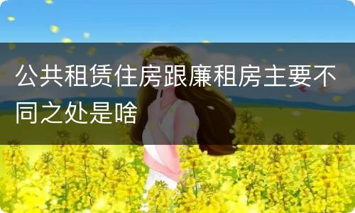 公共租赁住房跟廉租房主要不同之处是啥