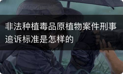 非法种植毒品原植物案件刑事追诉标准是怎样的