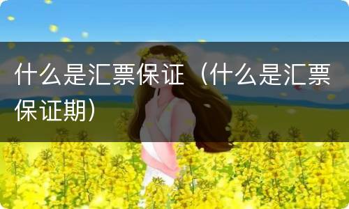 什么是汇票保证（什么是汇票保证期）