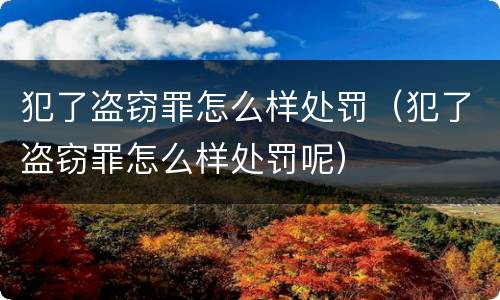 犯了盗窃罪怎么样处罚（犯了盗窃罪怎么样处罚呢）