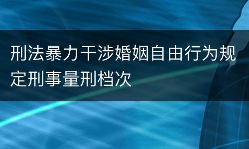 刑法暴力干涉婚姻自由行为规定刑事量刑档次