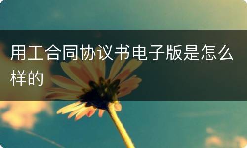 用工合同协议书电子版是怎么样的