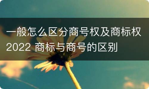一般怎么区分商号权及商标权2022 商标与商号的区别