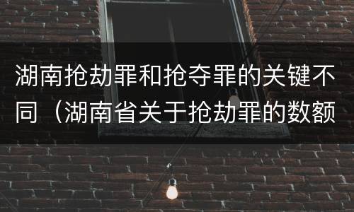 湖南抢劫罪和抢夺罪的关键不同（湖南省关于抢劫罪的数额规定）