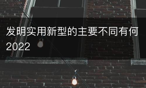 发明实用新型的主要不同有何2022