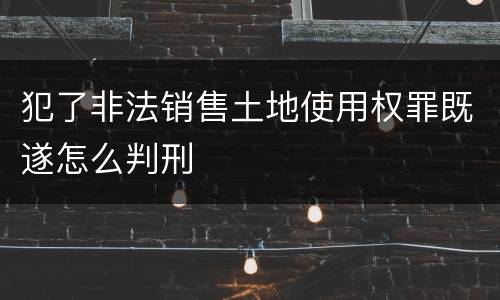 犯了非法销售土地使用权罪既遂怎么判刑