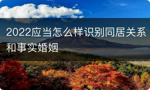 2022应当怎么样识别同居关系和事实婚姻