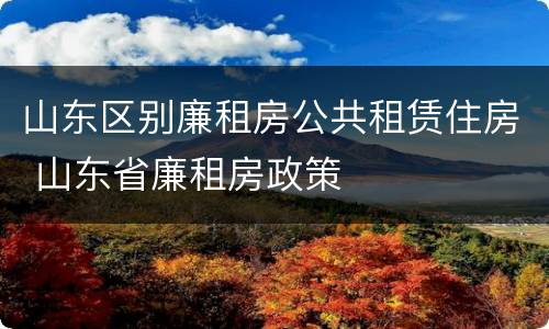 山东区别廉租房公共租赁住房 山东省廉租房政策