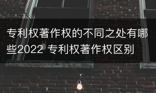 专利权著作权的不同之处有哪些2022 专利权著作权区别