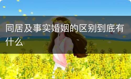 同居及事实婚姻的区别到底有什么