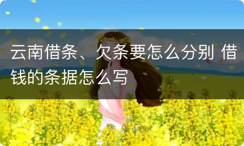 云南借条、欠条要怎么分别 借钱的条据怎么写