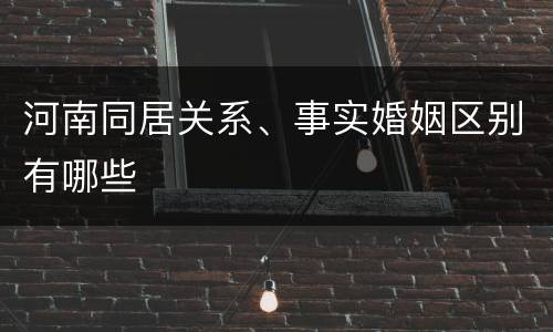 河南同居关系、事实婚姻区别有哪些
