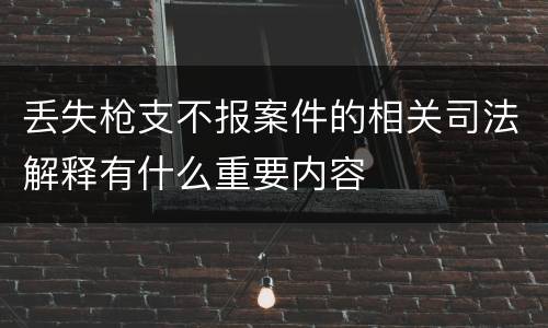 丢失枪支不报案件的相关司法解释有什么重要内容