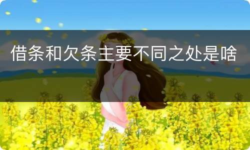 借条和欠条主要不同之处是啥