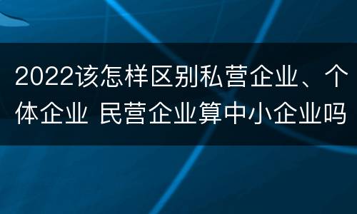 2022该怎样区别私营企业、个体企业 民营企业算中小企业吗