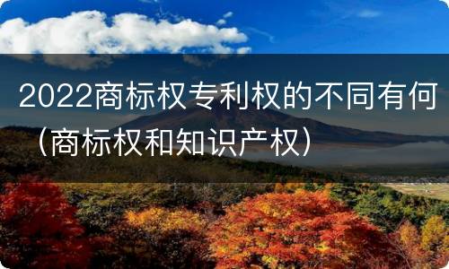 2022商标权专利权的不同有何（商标权和知识产权）