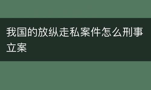 我国的放纵走私案件怎么刑事立案