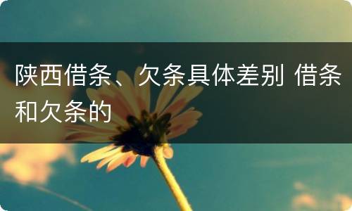 陕西借条、欠条具体差别 借条和欠条的