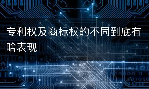 专利权及商标权的不同到底有啥表现