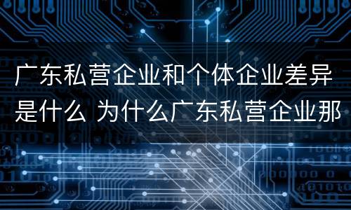 广东私营企业和个体企业差异是什么 为什么广东私营企业那么少